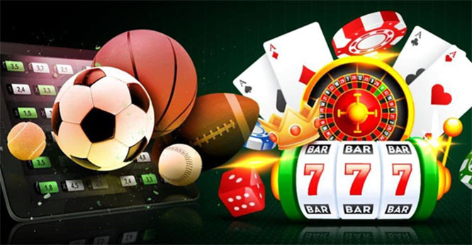 Discover the Exciting World of Live Dealer Casinos for Mobile Discover the Exciting World of Live Dealer Casinos for Mobile